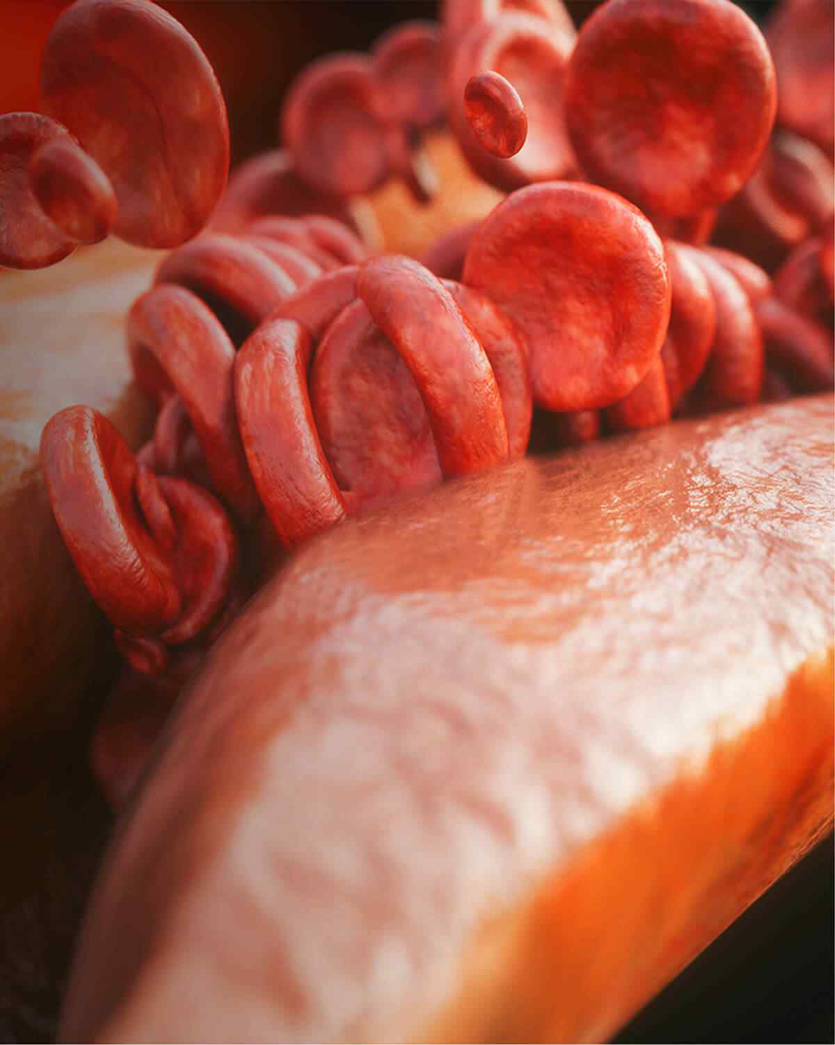 https://cirugiademanoynervio.com/wp-content/uploads/2021/08/interactive_image_right.jpg