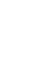 https://cirugiademanoynervio.com/wp-content/uploads/2026/07/logo-blanco-chico.png