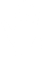 https://cirugiademanoynervio.com/wp-content/uploads/2026/08/LOGO-BLANCO_small0.png